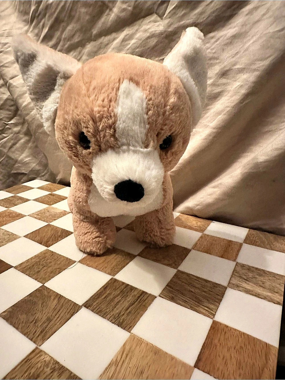 Jellycat Isobel Chihuahua Plush Discontinued Retired Rare Stuffed Animal Dog